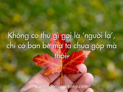 Không có thứ gì gọi là ‘người lạ’, chỉ có bạn bè mà ta chưa gặp mà thôi.