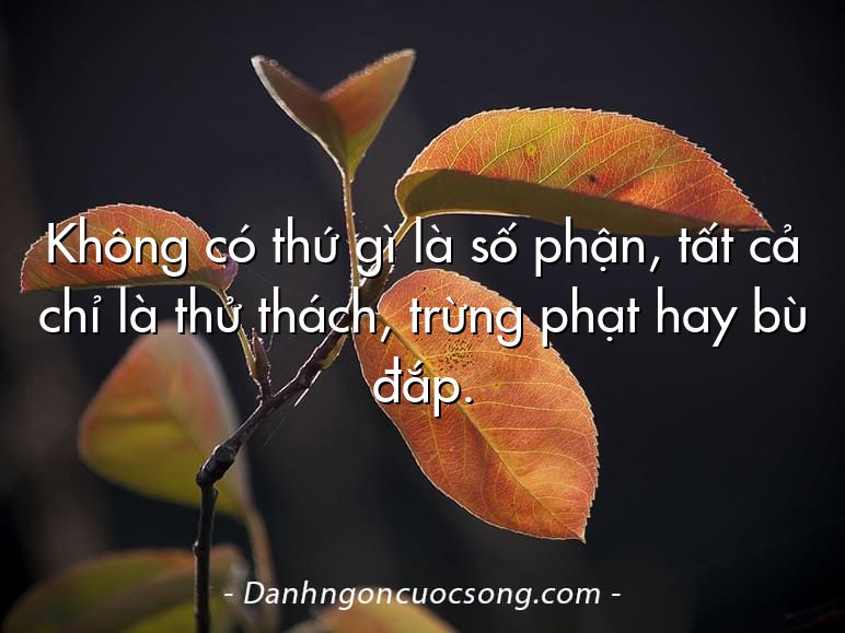Không có thứ gì là số phận, tất cả chỉ là thử thách, trừng phạt hay bù đắp.