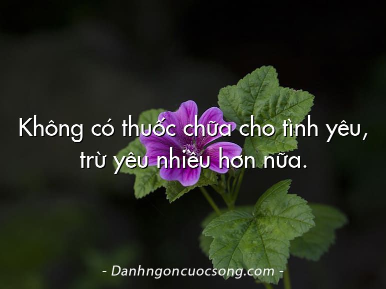 Không có thuốc chữa cho tình yêu, trừ yêu nhiều hơn nữa.