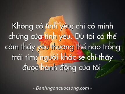 Không có tình yêu; chỉ có minh chứng của tình yêu. Dù tôi có thể cảm thấy yêu thương thế nào trong trái tim; người khác sẽ chỉ thấy được hành động của tôi.