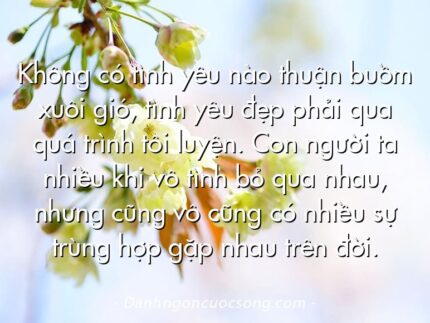 Không có tình yêu nào thuận buồm xuôi gió, tình yêu đẹp phải qua quá trình tôi luyện. Con người ta nhiều khi vô tình bỏ qua nhau, nhưng cũng vô cũng có nhiều sự trùng hợp gặp nhau trên đời.