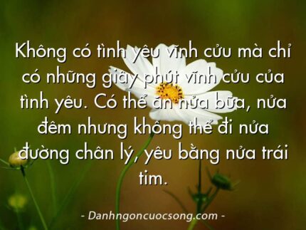 Không có tình yêu vĩnh cửu mà chỉ có những giây phút vĩnh cửu của tình yêu. Có thể ăn nửa bữa, nửa đêm nhưng không thể đi nửa đường chân lý, yêu bằng nửa trái tim.
