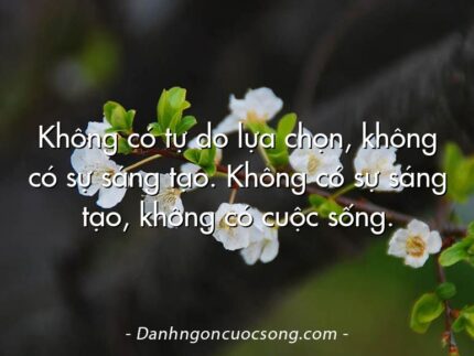 Không có tự do lựa chọn, không có sự sáng tạo. Không có sự sáng tạo, không có cuộc sống.