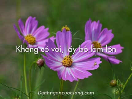 Không có voi, lấy bò làm lớn