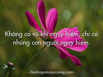 Không có vũ khí nguy hiểm, chỉ có những con người nguy hiểm.