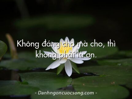 Không đáng cho mà cho, thì không phải là ơn.