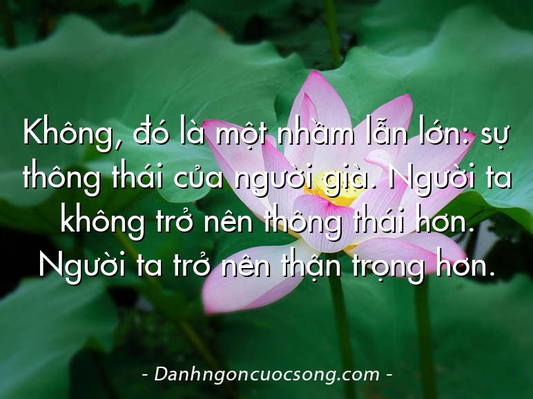 Không, đó là một nhầm lẫn lớn: sự thông thái của người già. Người ta không trở nên thông thái hơn. Người ta trở nên thận trọng hơn.