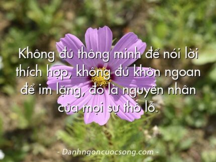Không đủ thông minh để nói lời thích hợp, không đủ khôn ngoan để im lặng, đó là nguyên nhân của mọi sự thô lỗ.