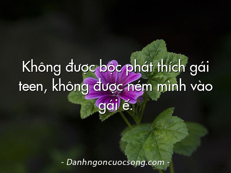 Không được bộc phát thích gái teen, không được ném mình vào gái ế.