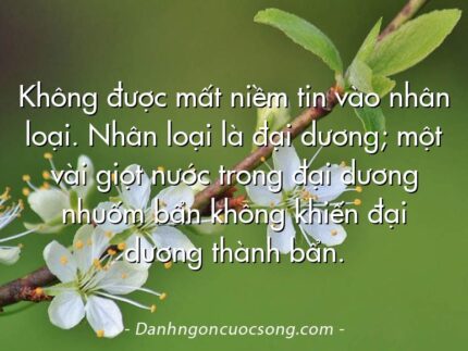 Không được mất niềm tin vào nhân loại. Nhân loại là đại dương; một vài giọt nước trong đại dương nhuốm bẩn không khiến đại dương thành bẩn.