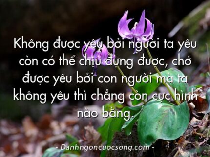 Không được yêu bởi người ta yêu còn có thể chịu đựng được, chớ được yêu bởi con người mà ta không yêu thì chẳng còn cực hình nào bằng.