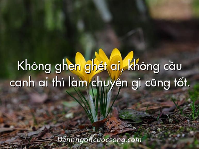 Không ghen ghét ai, không cầu cạnh ai thì làm chuyện gì cũng tốt.