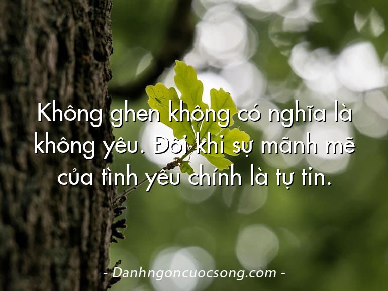 Không ghen không có nghĩa là không yêu. Đôi khi sự mãnh mẽ của tình yêu chính là tự tin.