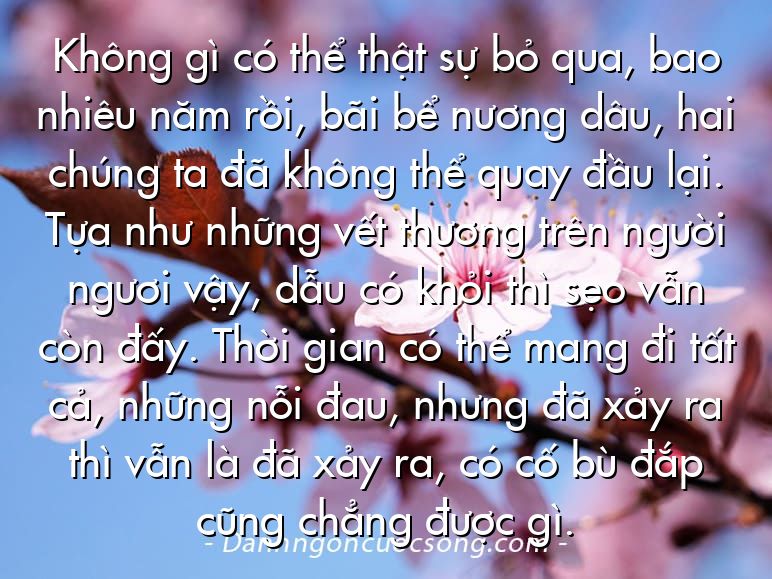 Không gì có thể thật sự bỏ qua, bao nhiêu năm rồi, bãi bể nương dâu, hai chúng ta đã không thể quay đầu lại. Tựa như những vết thương trên người ngươi vậy, dẫu có khỏi thì sẹo vẫn còn đấy. Thời gian có thể mang đi tất cả, những nỗi đau, nhưng đã xảy ra thì vẫn là đã xảy ra, có cố bù đắp cũng chẳng được gì.