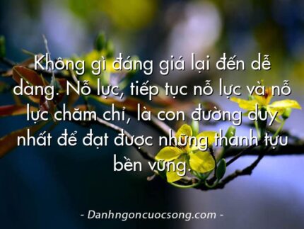 Không gì đáng giá lại đến dễ dàng. Nỗ lực, tiếp tục nỗ lực và nỗ lực chăm chỉ, là con đường duy nhất để đạt được những thành tựu bền vững.