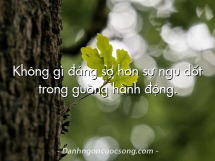 Không gì đáng sợ hơn sự ngu dốt trong guồng hành động.