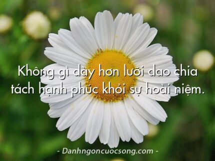 Không gì dày hơn lưỡi dao chia tách hạnh phúc khỏi sự hoài niệm.