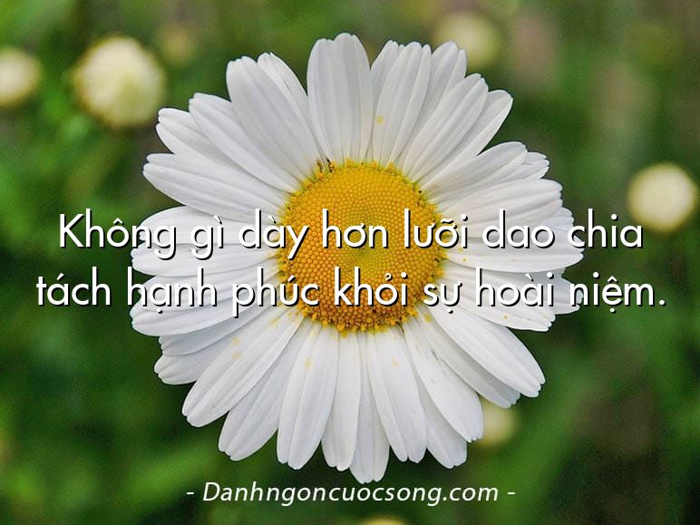 Không gì dày hơn lưỡi dao chia tách hạnh phúc khỏi sự hoài niệm.