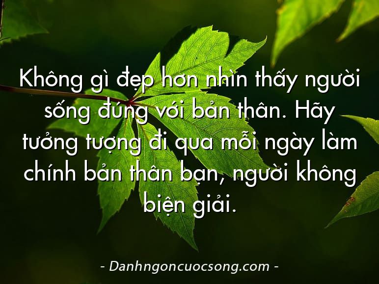 Không gì đẹp hơn nhìn thấy người sống đúng với bản thân. Hãy tưởng tượng đi qua mỗi ngày làm chính bản thân bạn, người không biện giải.