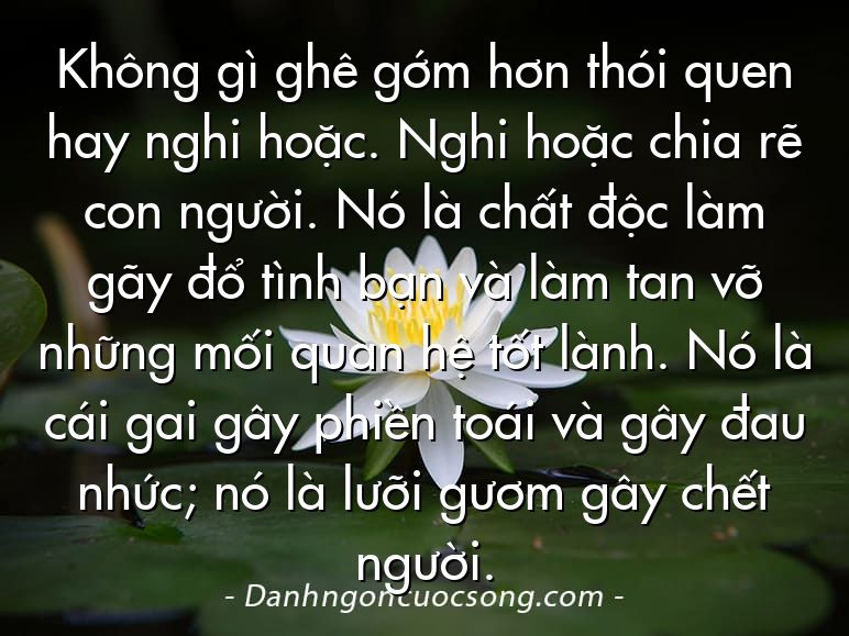 Không gì ghê gớm hơn thói quen hay nghi hoặc. Nghi hoặc chia rẽ con người. Nó là chất độc làm gãy đổ tình bạn và làm tan vỡ những mối quan hệ tốt lành. Nó là cái gai gây phiền toái và gây đau nhức; nó là lưỡi gươm gây chết người.