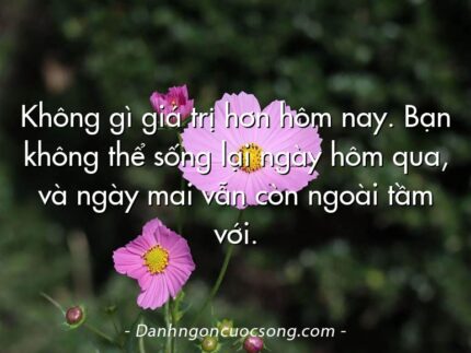 Không gì giá trị hơn hôm nay. Bạn không thể sống lại ngày hôm qua, và ngày mai vẫn còn ngoài tầm với.