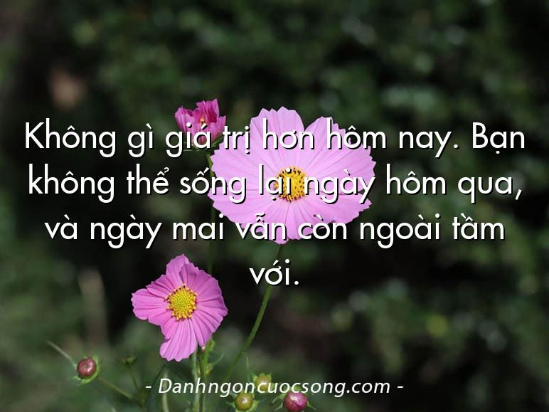 Không gì giá trị hơn hôm nay. Bạn không thể sống lại ngày hôm qua, và ngày mai vẫn còn ngoài tầm với.