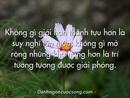Không gì giới hạn thành tựu hơn là suy nghĩ tủn mủn; không gì mở rộng những khả năng hơn là trí tưởng tượng được giải phóng.