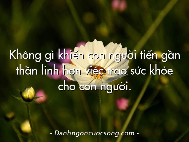 Không gì khiến con người tiến gần thần linh hơn việc trao sức khỏe cho con người.