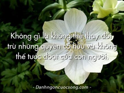 Không gì là không thể thay đổi, trừ những quyền cố hữu và không thể tước đoạt của con người.