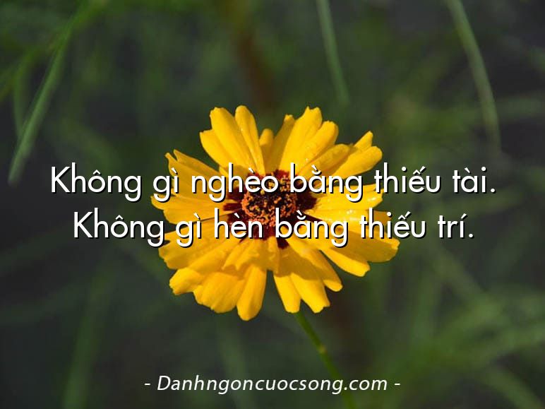 Không gì nghèo bằng thiếu tài. Không gì hèn bằng thiếu trí.