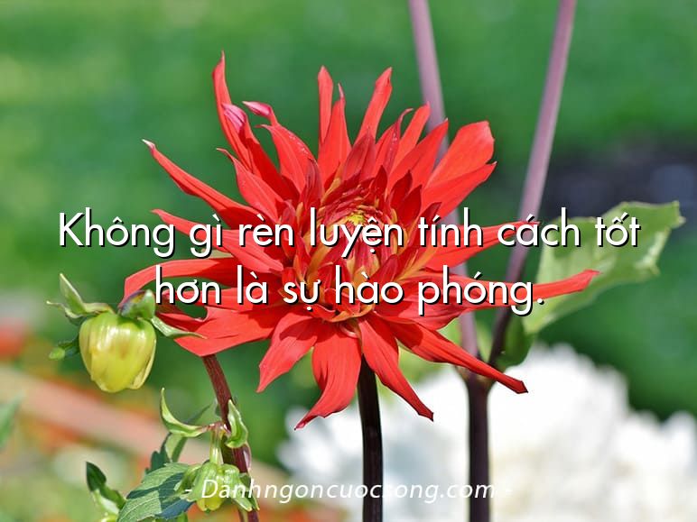 Không gì rèn luyện tính cách tốt hơn là sự hào phóng.
