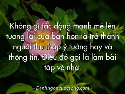 Không gì tác động mạnh mẽ lên tương lai của bạn hơn là trở thành người thu thập ý tưởng hay và thông tin. Điều đó gọi là làm bài tập về nhà.