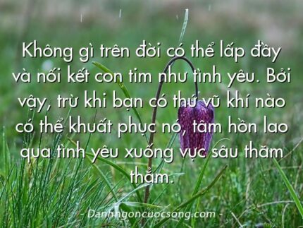 Không gì trên đời có thể lấp đầy và nối kết con tim như tình yêu. Bởi vậy, trừ khi bạn có thứ vũ khí nào có thể khuất phục nó, tâm hồn lao qua tình yêu xuống vực sâu thăm thẳm.