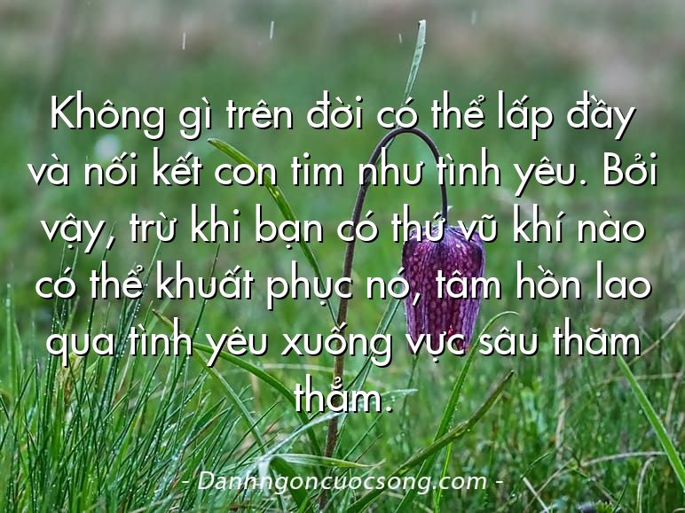 Không gì trên đời có thể lấp đầy và nối kết con tim như tình yêu. Bởi vậy, trừ khi bạn có thứ vũ khí nào có thể khuất phục nó, tâm hồn lao qua tình yêu xuống vực sâu thăm thẳm.
