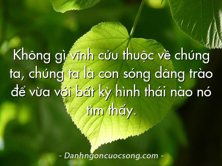 Không gì vĩnh cửu thuộc về chúng ta, chúng ta là con sóng dâng trào để vừa với bất kỳ hình thái nào nó tìm thấy.