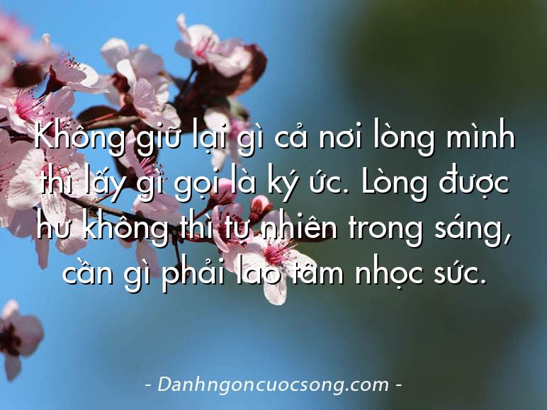 Không giữ lại gì cả nơi lòng mình thì lấy gì gọi là ký ức. Lòng được hư không thì tự nhiên trong sáng, cần gì phải lao tâm nhọc sức.