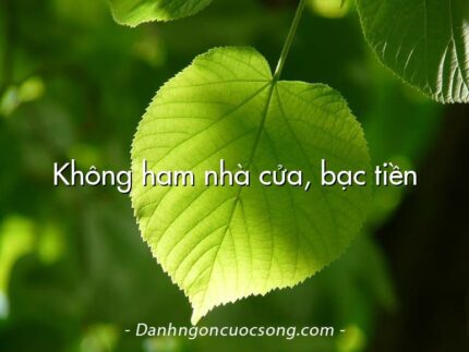Không ham nhà cửa, bạc tiền