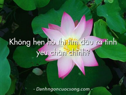 Không hẹn hò thì tìm đâu ra tình yêu chân chính?