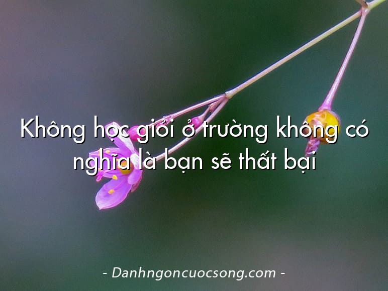 Không học giỏi ở trường không có nghĩa là bạn sẽ thất bại