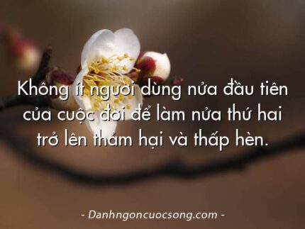 Không ít người dùng nửa đầu tiên của cuộc đời để làm nửa thứ hai trở lên thảm hại và thấp hèn.