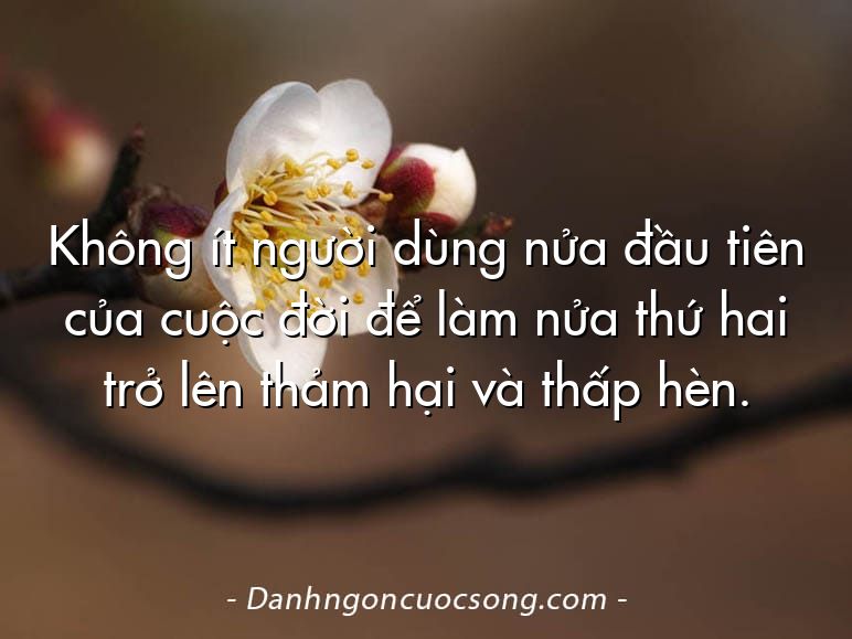 Không ít người dùng nửa đầu tiên của cuộc đời để làm nửa thứ hai trở lên thảm hại và thấp hèn.