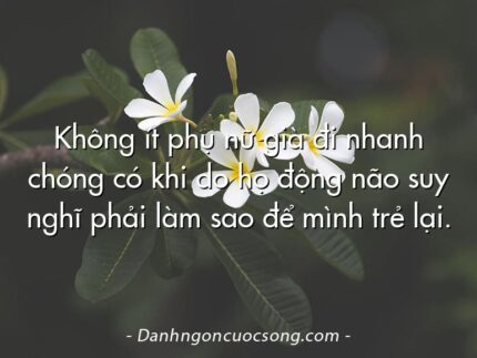Không ít phụ nữ già đi nhanh chóng có khi do họ động não suy nghĩ phải làm sao để mình trẻ lại.