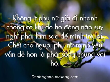Không ít phụ nữ già đi nhanh chóng có khi do họ động não suy nghĩ phải làm sao để mình trẻ lại. Chết cho người phụ nữ mình yêu vẫn dễ hơn là phải sống chung với họ.