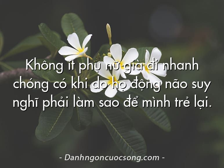 Không ít phụ nữ già đi nhanh chóng có khi do họ động não suy nghĩ phải làm sao để mình trẻ lại.