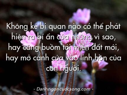 Không kẻ bi quan nào có thể phát hiện ra bí ẩn của những vì sao, hay căng buồm tới miền đất mới, hay mở cánh cửa vào linh hồn của con người.