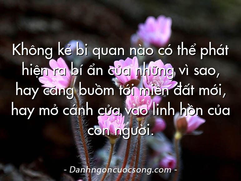 Không kẻ bi quan nào có thể phát hiện ra bí ẩn của những vì sao, hay căng buồm tới miền đất mới, hay mở cánh cửa vào linh hồn của con người.