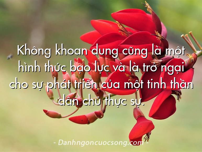 Không khoan dung cũng là một hình thức bạo lực và là trở ngại cho sự phát triển của một tinh thần dân chủ thực sự.