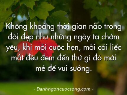 Không khoảng thời gian nào trong đời đẹp như những ngày ta chớm yêu, khi mỗi cuộc hẹn, mỗi cái liếc mắt đều đem đến thứ gì đó mới mẻ để vui sướng.