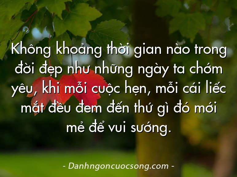 Không khoảng thời gian nào trong đời đẹp như những ngày ta chớm yêu, khi mỗi cuộc hẹn, mỗi cái liếc mắt đều đem đến thứ gì đó mới mẻ để vui sướng.