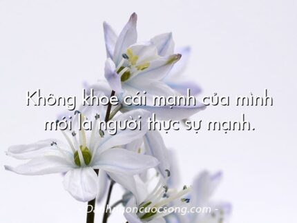 Không khoe cái mạnh của mình mới là người thực sự mạnh.